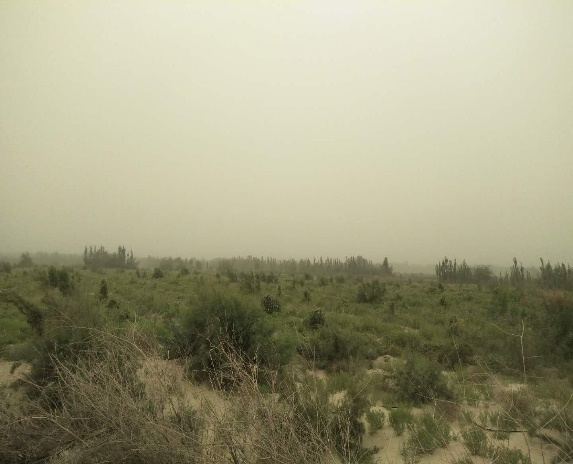 image-20190908155750-4